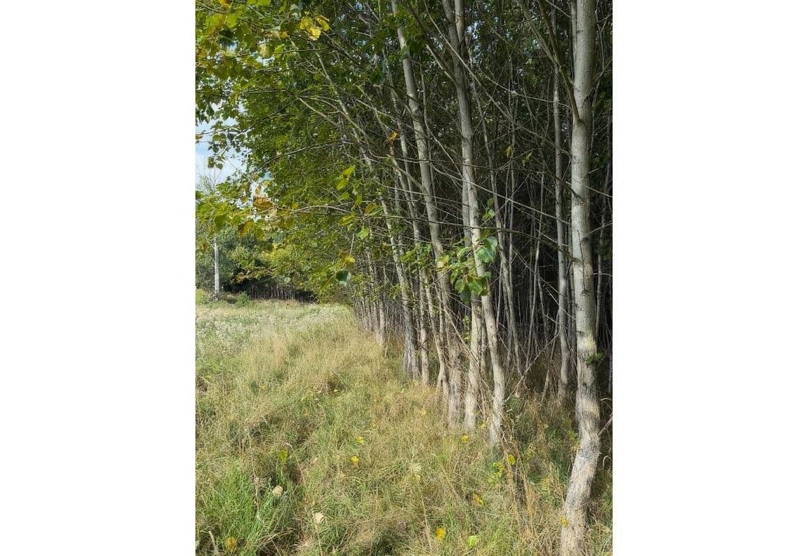 Predaj pozemku 108.179 m², Česká Kamenice, Ústecký kraj Predaj pozemku 108.179 m², Česká Kamenice, Ústecký kraj