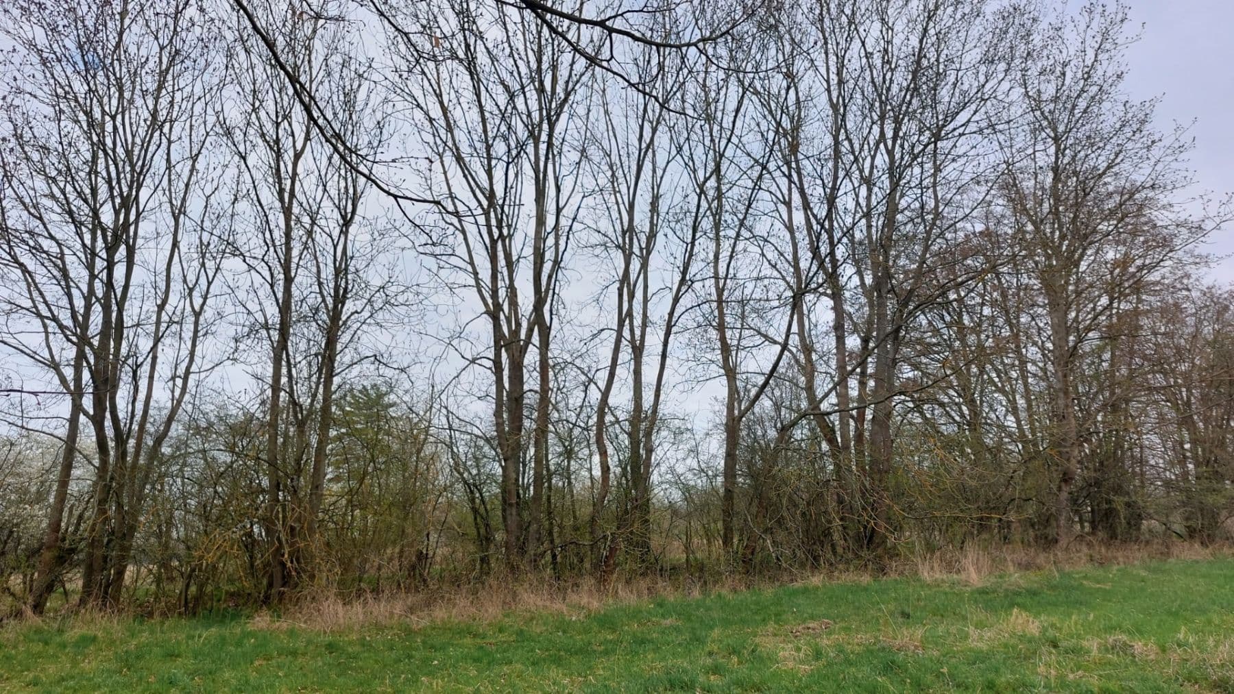 Predaj pozemku 2.040 m², Loket, Středočeský kraj Predaj pozemku 2.040 m², Loket, Středočeský kraj
