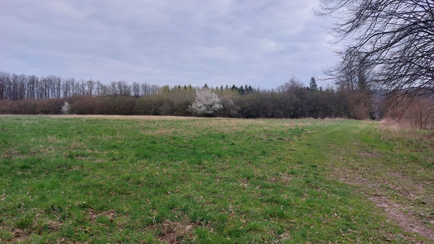 Predaj pozemku 2.040 m², Loket, Středočeský kraj Predaj pozemku 2.040 m², Loket, Středočeský kraj