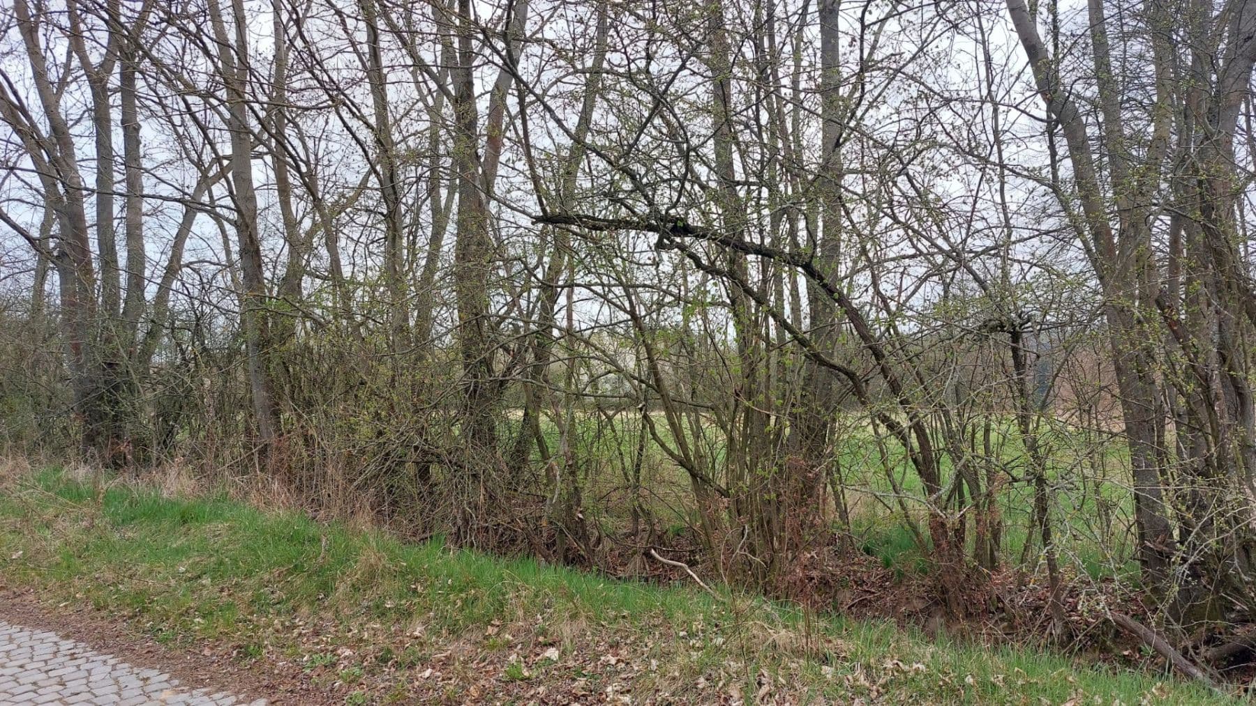 Predaj pozemku 2.040 m², Loket, Středočeský kraj Predaj pozemku 2.040 m², Loket, Středočeský kraj