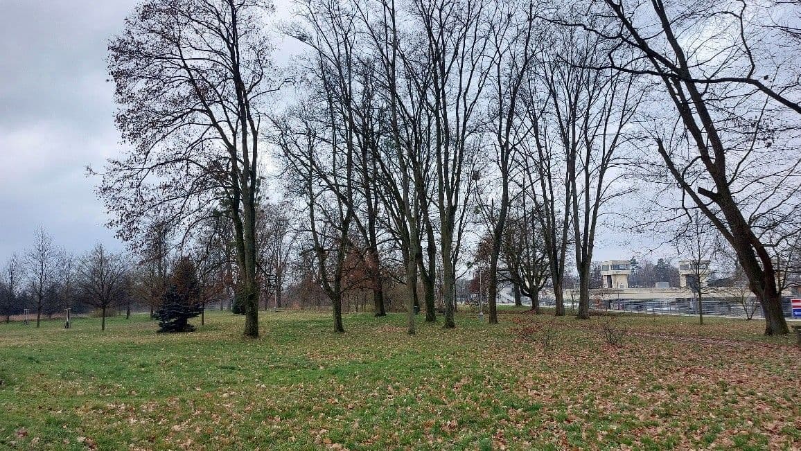 Predaj pozemku 7.743 m², Třeboňská, Hluboká nad Vltavou, Jihočeský kraj Predaj pozemku 7.743 m², Třeboňská, Hluboká nad Vltavou, Jihočeský kraj