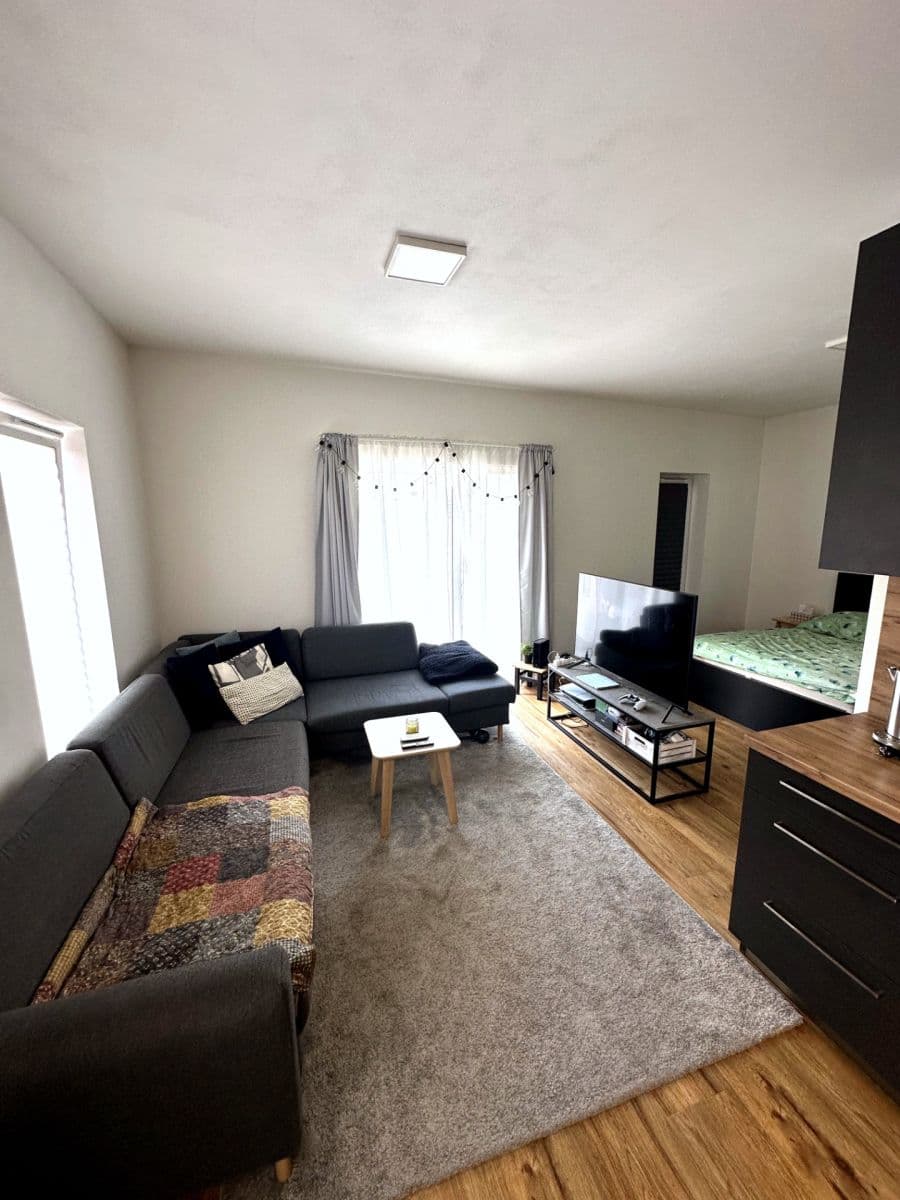 Prenájom bytu 1-izbový 48 m², Košinova, Brno, Jihomoravský kraj Prenájom bytu 1-izbový 48 m², Košinova, Brno, Jihomoravský kraj