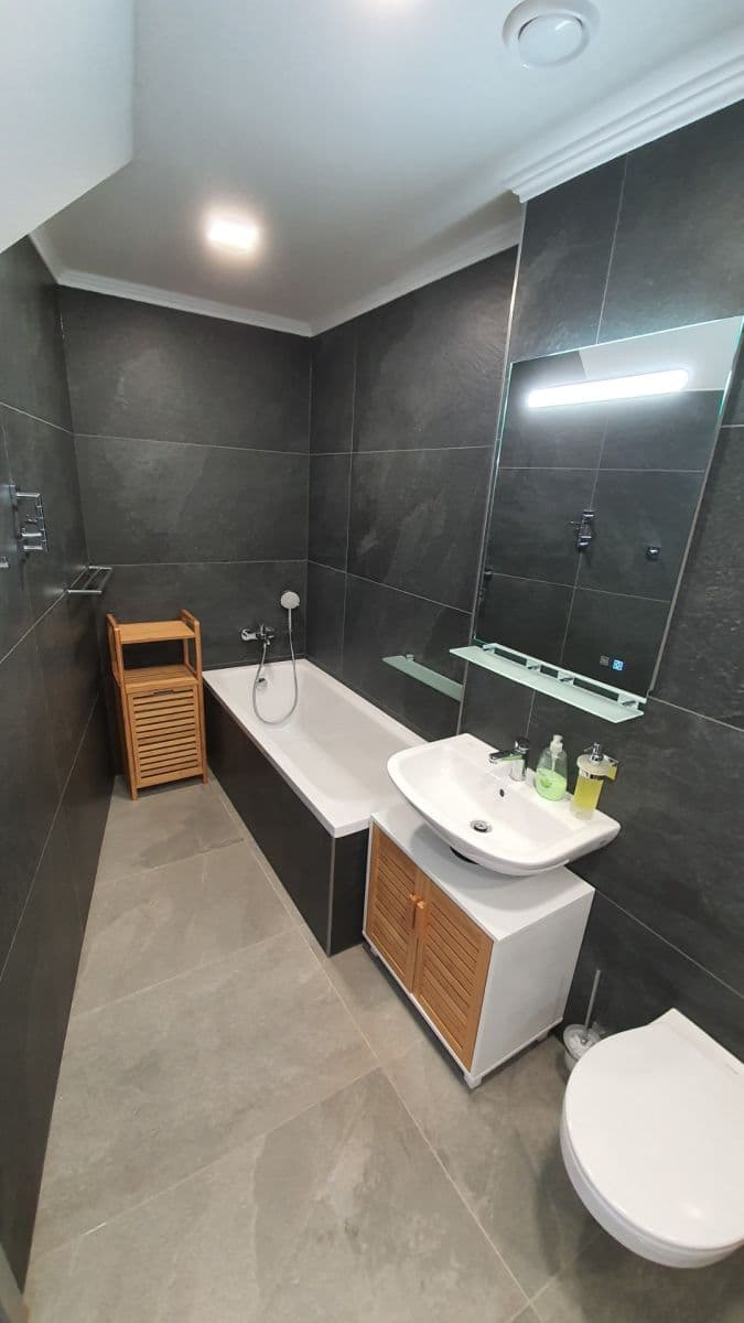 Prenájom bytu 4-izbový 370 m², Otýlie Beníškové, Plzeň, Plzeňský kraj Prenájom bytu 4-izbový 370 m², Otýlie Beníškové, Plzeň, Plzeňský kraj