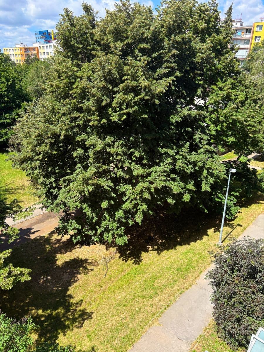 Predaj bytu 3-izbový 72 m², Vysočanská, Praha, Praha Predaj bytu 3-izbový 72 m², Vysočanská, Praha, Praha