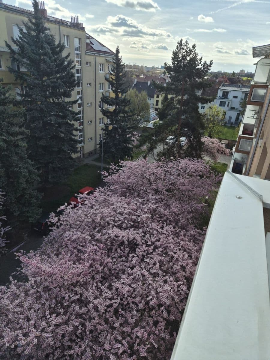 Prenájom bytu 2-izbový 50 m², Skácelova, Brno, Jihomoravský kraj Prenájom bytu 2-izbový 50 m², Skácelova, Brno, Jihomoravský kraj