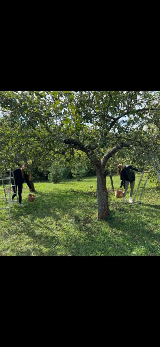 Predaj pozemku 2.409 m², Ostopovice, Jihomoravský kraj Predaj pozemku 2.409 m², Ostopovice, Jihomoravský kraj