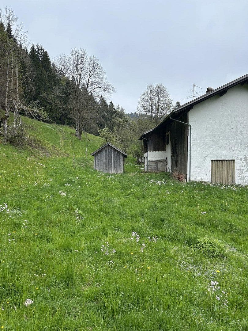 Predaj pozemku 50.000 m², Kreuzbachthal, Buchenberg, Bavorsko Predaj pozemku 50.000 m², Kreuzbachthal, Buchenberg, Bavorsko