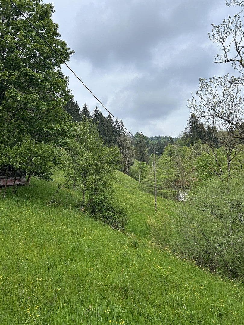Predaj pozemku 50.000 m², Kreuzbachthal, Buchenberg, Bavorsko Predaj pozemku 50.000 m², Kreuzbachthal, Buchenberg, Bavorsko