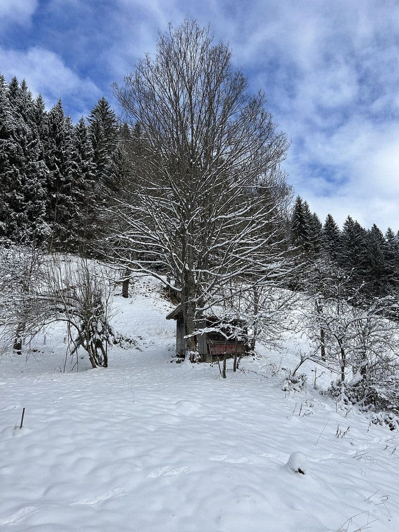 Predaj pozemku 50.000 m², Kreuzbachthal, Buchenberg, Bavorsko Predaj pozemku 50.000 m², Kreuzbachthal, Buchenberg, Bavorsko