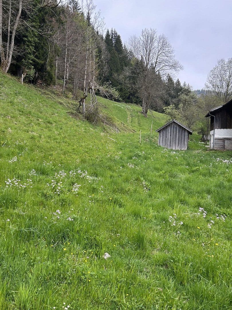 Predaj pozemku 50.000 m², Kreuzbachthal, Buchenberg, Bavorsko Predaj pozemku 50.000 m², Kreuzbachthal, Buchenberg, Bavorsko