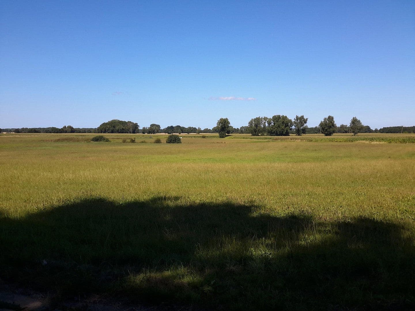 Predaj pozemku 2.893 m², Schweikvitz 10 b, Kluis, Meklenbursko-Predpomoransko Predaj pozemku 2.893 m², Schweikvitz 10 b, Kluis, Meklenbursko-Predpomoransko