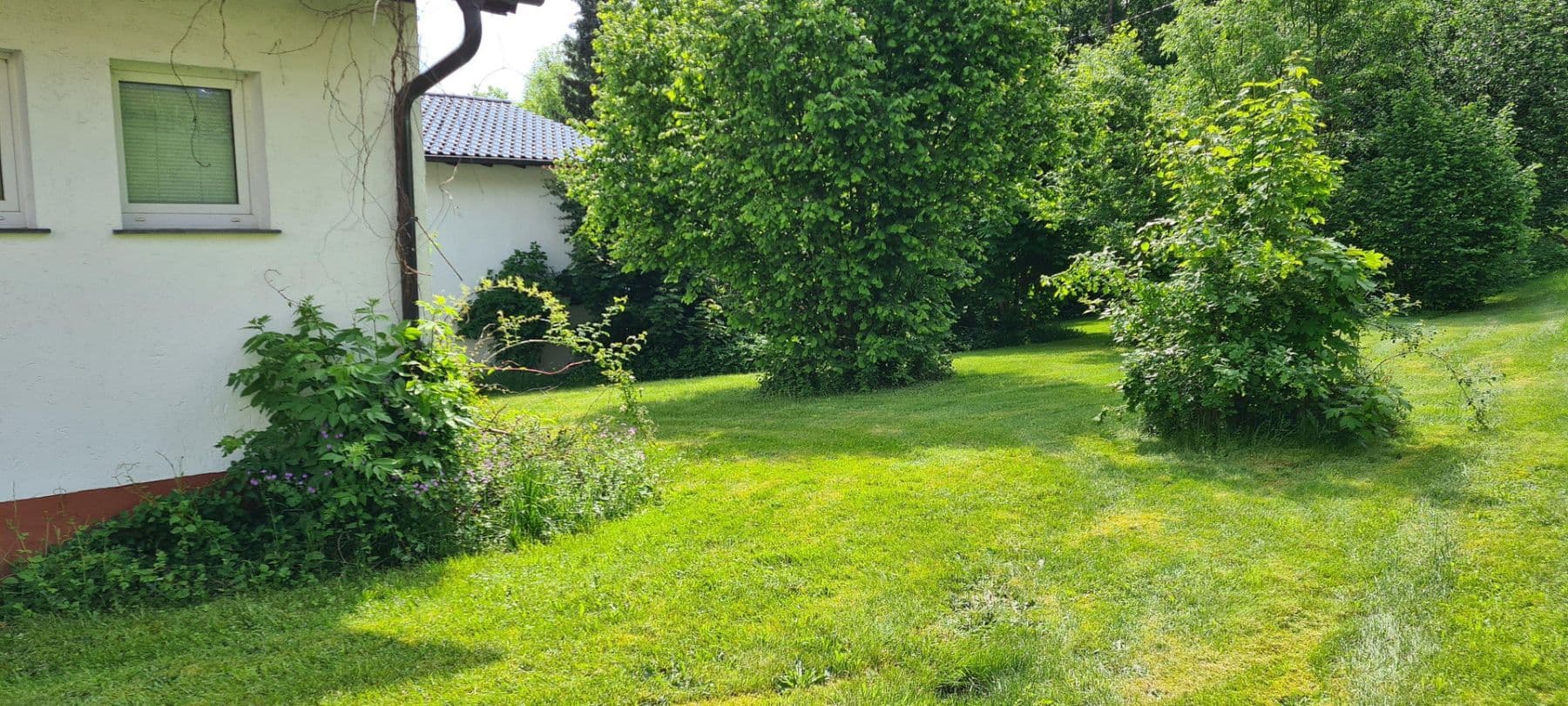 Predaj domu 450 m², pozemok 5.100 m², Weitefeld, Porýnie-Falcko Predaj domu 450 m², pozemok 5.100 m², Weitefeld, Porýnie-Falcko