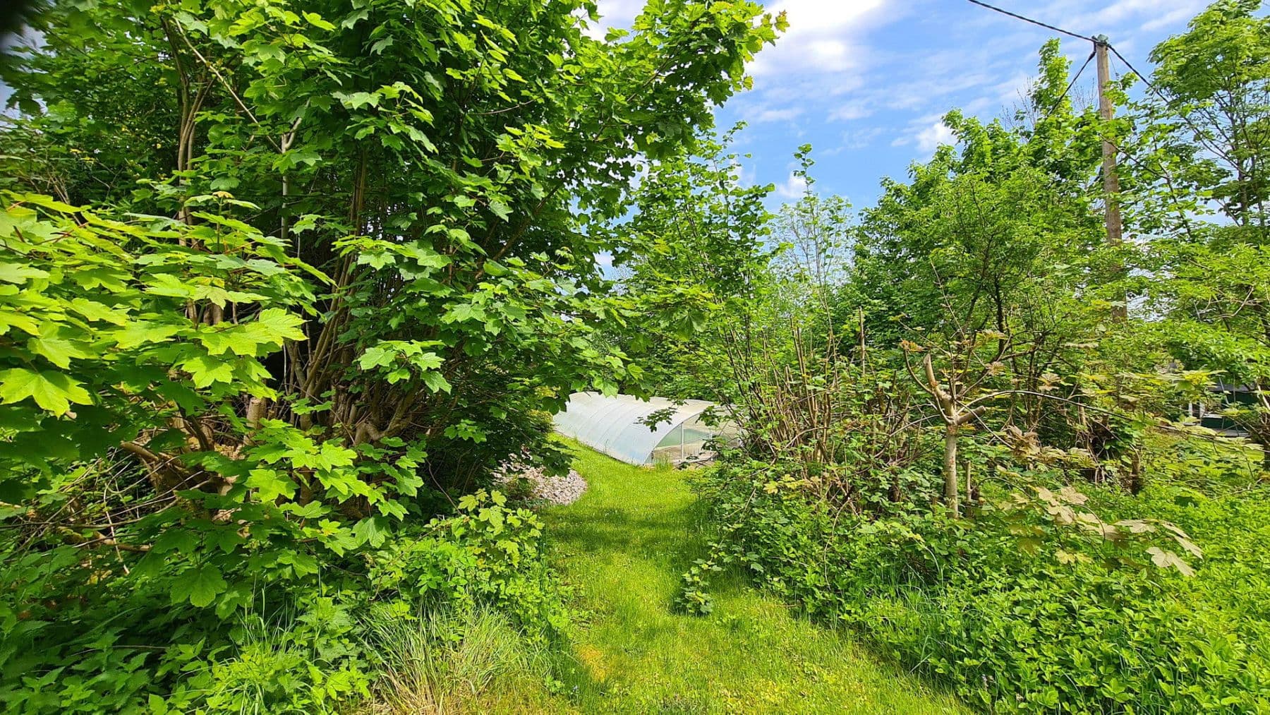 Predaj domu 450 m², pozemok 5.100 m², Weitefeld, Porýnie-Falcko Predaj domu 450 m², pozemok 5.100 m², Weitefeld, Porýnie-Falcko