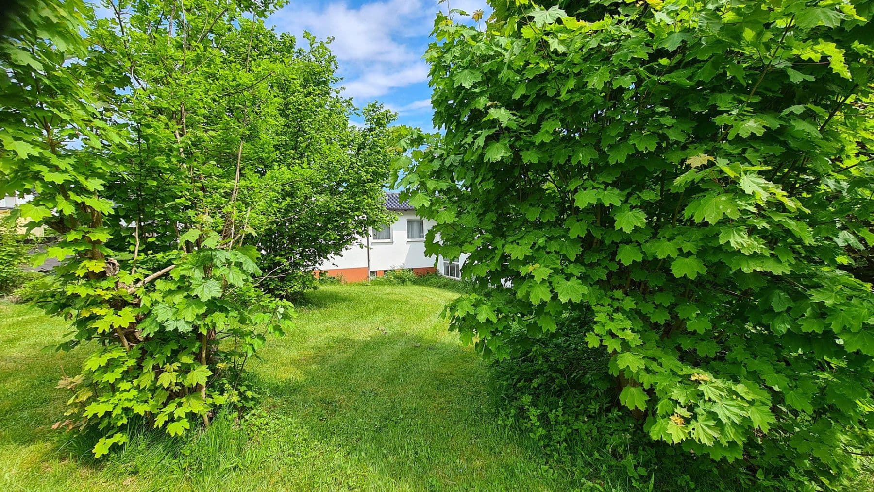 Predaj domu 450 m², pozemok 5.100 m², Weitefeld, Porýnie-Falcko Predaj domu 450 m², pozemok 5.100 m², Weitefeld, Porýnie-Falcko