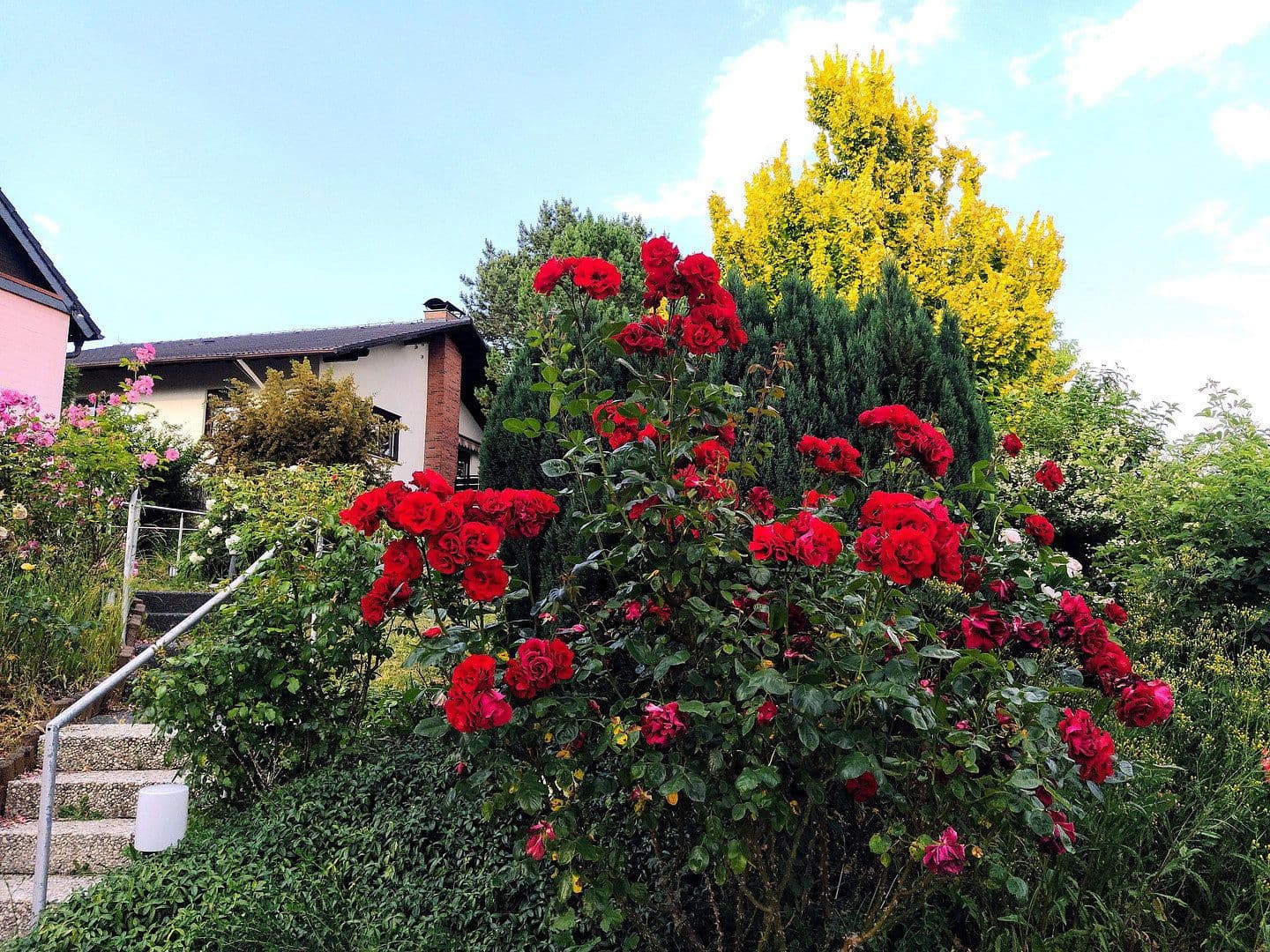 Predaj domu 245 m², pozemok 795 m², Niedernhausen, Hesensko Predaj domu 245 m², pozemok 795 m², Niedernhausen, Hesensko