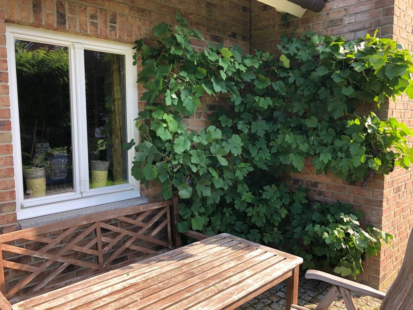 Predaj domu 160 m², pozemok 1.400 m², Leck, Šlezvicko-Holštajnsko Predaj domu 160 m², pozemok 1.400 m², Leck, Šlezvicko-Holštajnsko