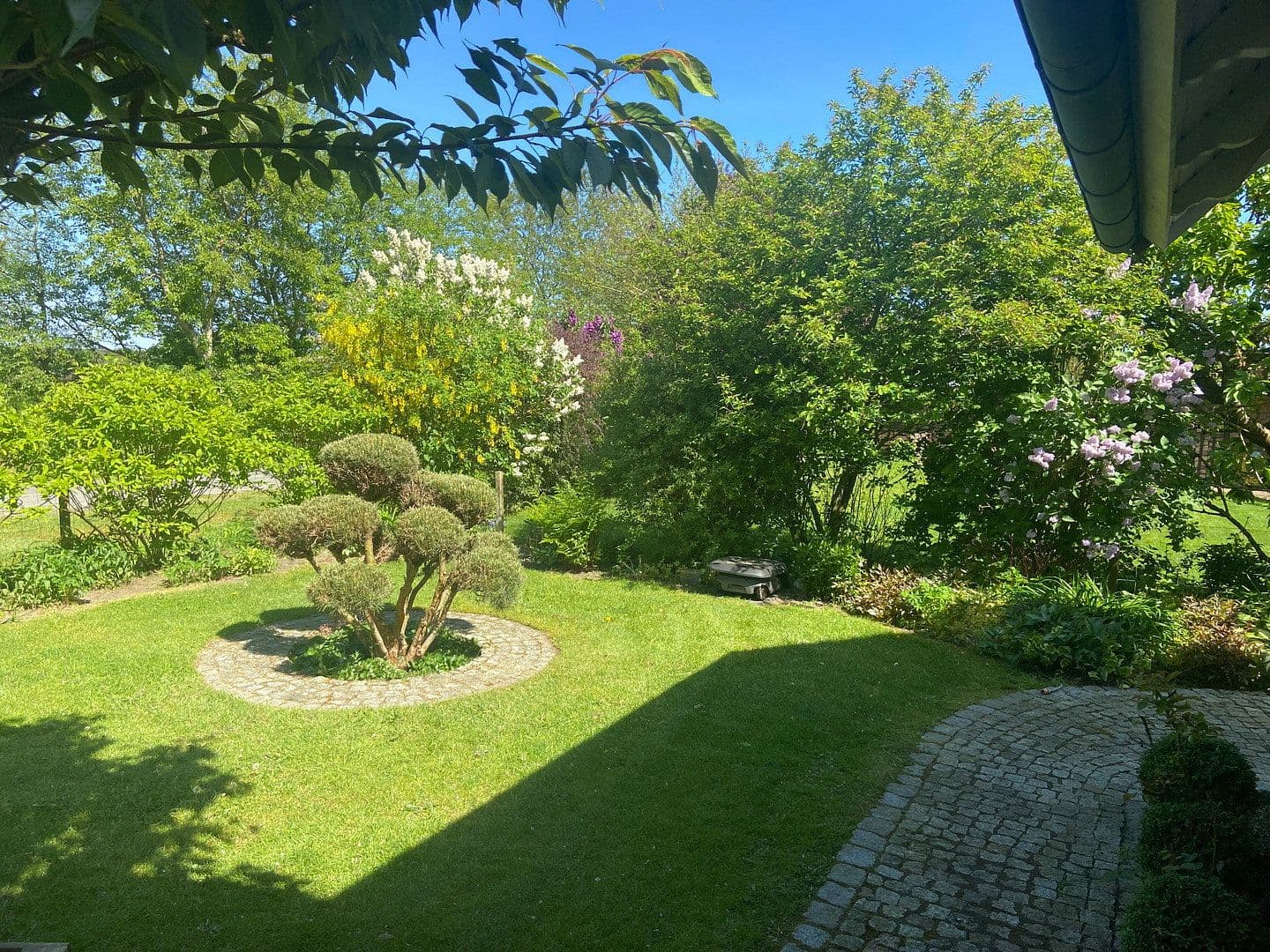 Predaj domu 160 m², pozemok 1.400 m², Leck, Šlezvicko-Holštajnsko Predaj domu 160 m², pozemok 1.400 m², Leck, Šlezvicko-Holštajnsko