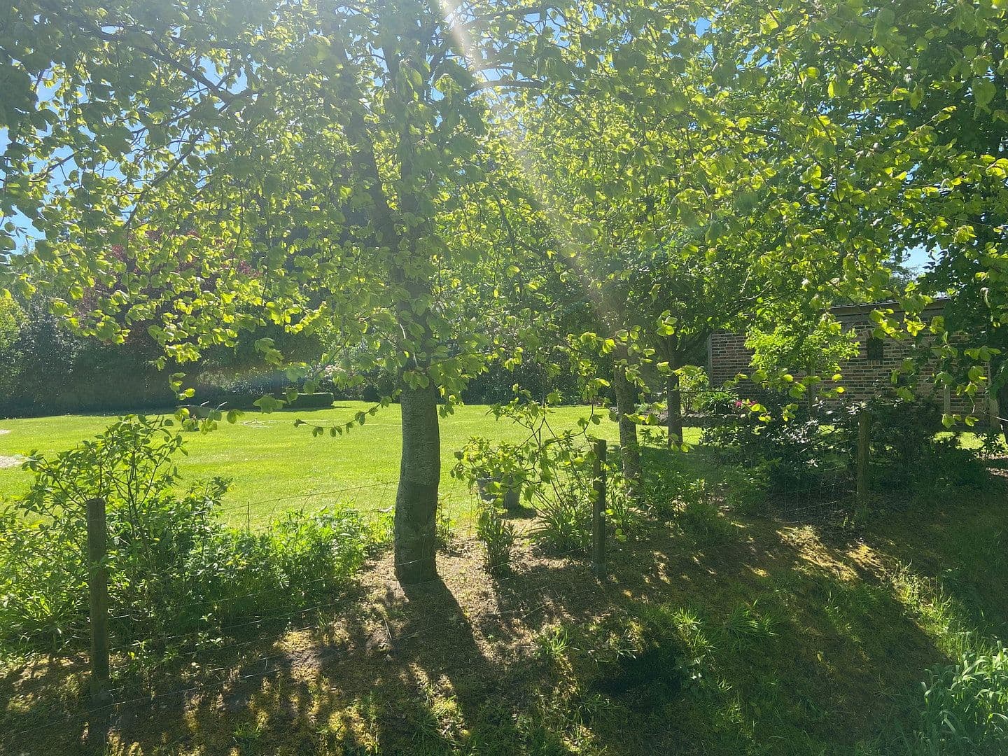 Predaj domu 160 m², pozemok 1.400 m², Leck, Šlezvicko-Holštajnsko Predaj domu 160 m², pozemok 1.400 m², Leck, Šlezvicko-Holštajnsko
