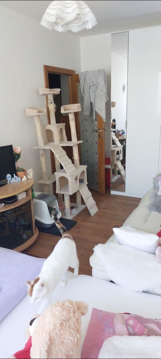 Prenájom bytu 3-izbový 78 m², Přecechtělova, Praha, Praha Prenájom bytu 3-izbový 78 m², Přecechtělova, Praha, Praha