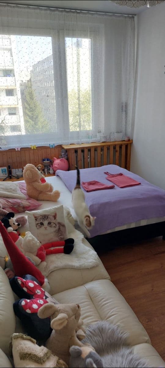 Prenájom bytu 3-izbový 78 m², Přecechtělova, Praha, Praha Prenájom bytu 3-izbový 78 m², Přecechtělova, Praha, Praha