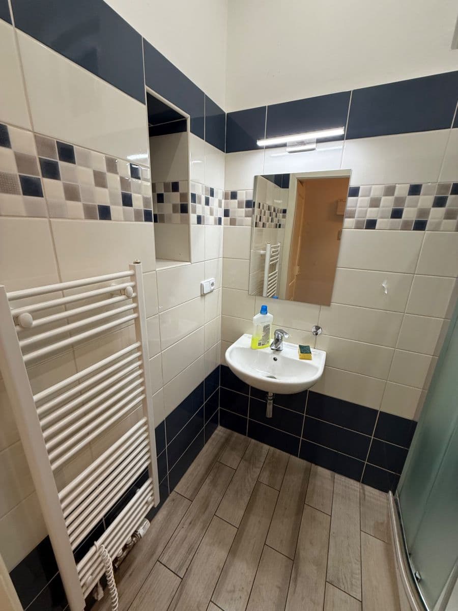 Prenájom bytu 1-izbový 50 m², Čechova, Praha, Praha Prenájom bytu 1-izbový 50 m², Čechova, Praha, Praha