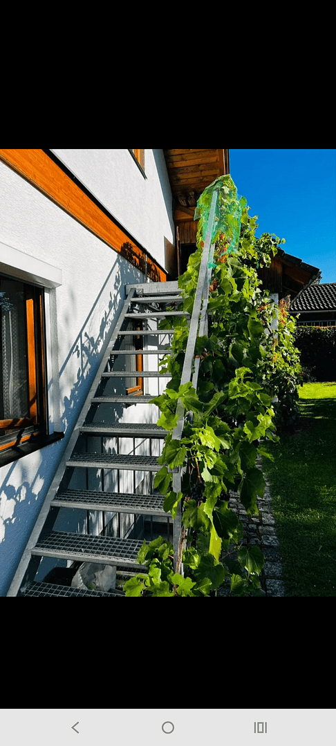 Predaj domu 130 m², pozemok 898 m², Rohrbach-Berg, Horné Rakúsko Predaj domu 130 m², pozemok 898 m², Rohrbach-Berg, Horné Rakúsko