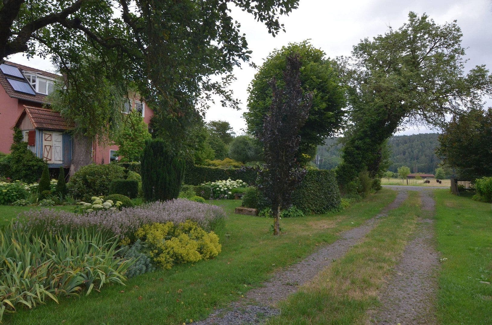 Predaj pozemku 20.000 m², Haunetal, Hesensko Predaj pozemku 20.000 m², Haunetal, Hesensko