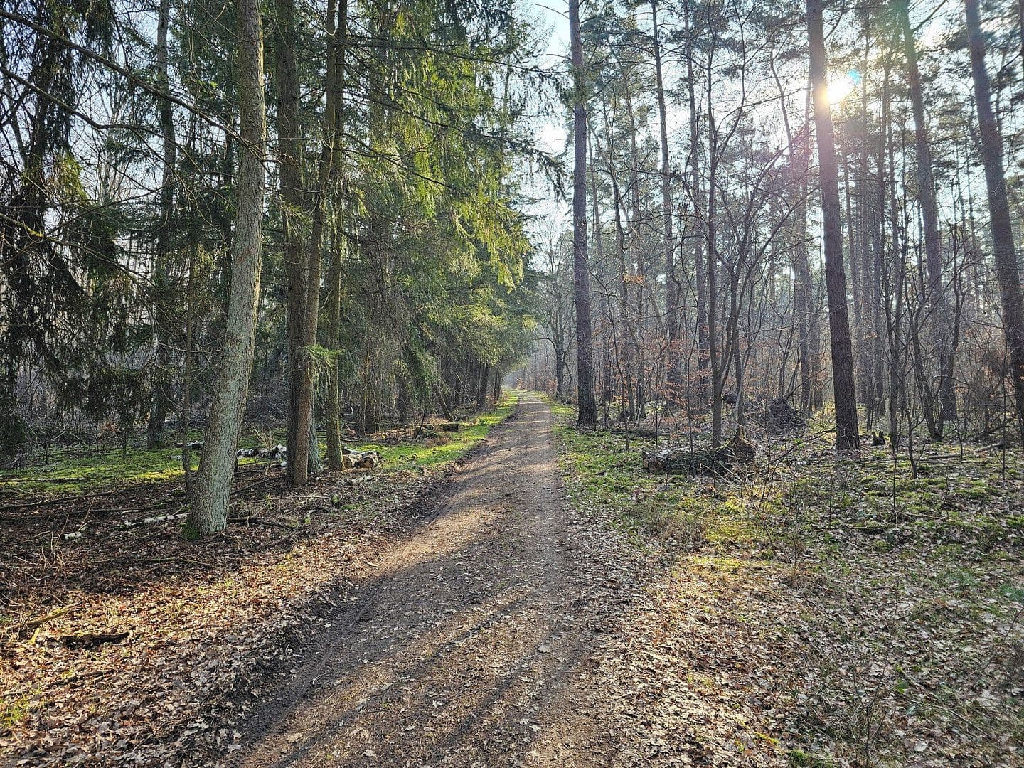 Predaj bytu 3-izbový 80 m², Steinebergstraße, Ludwigsfelde, Brandenbursko Predaj bytu 3-izbový 80 m², Steinebergstraße, Ludwigsfelde, Brandenbursko