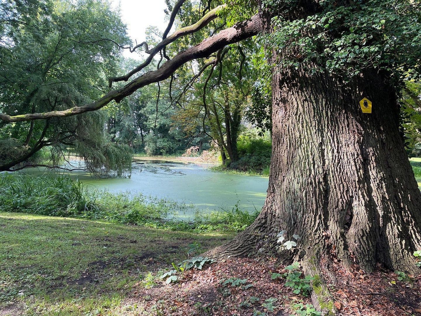 Predaj bytu 3-izbový 80 m², Steinebergstraße, Ludwigsfelde, Brandenbursko Predaj bytu 3-izbový 80 m², Steinebergstraße, Ludwigsfelde, Brandenbursko