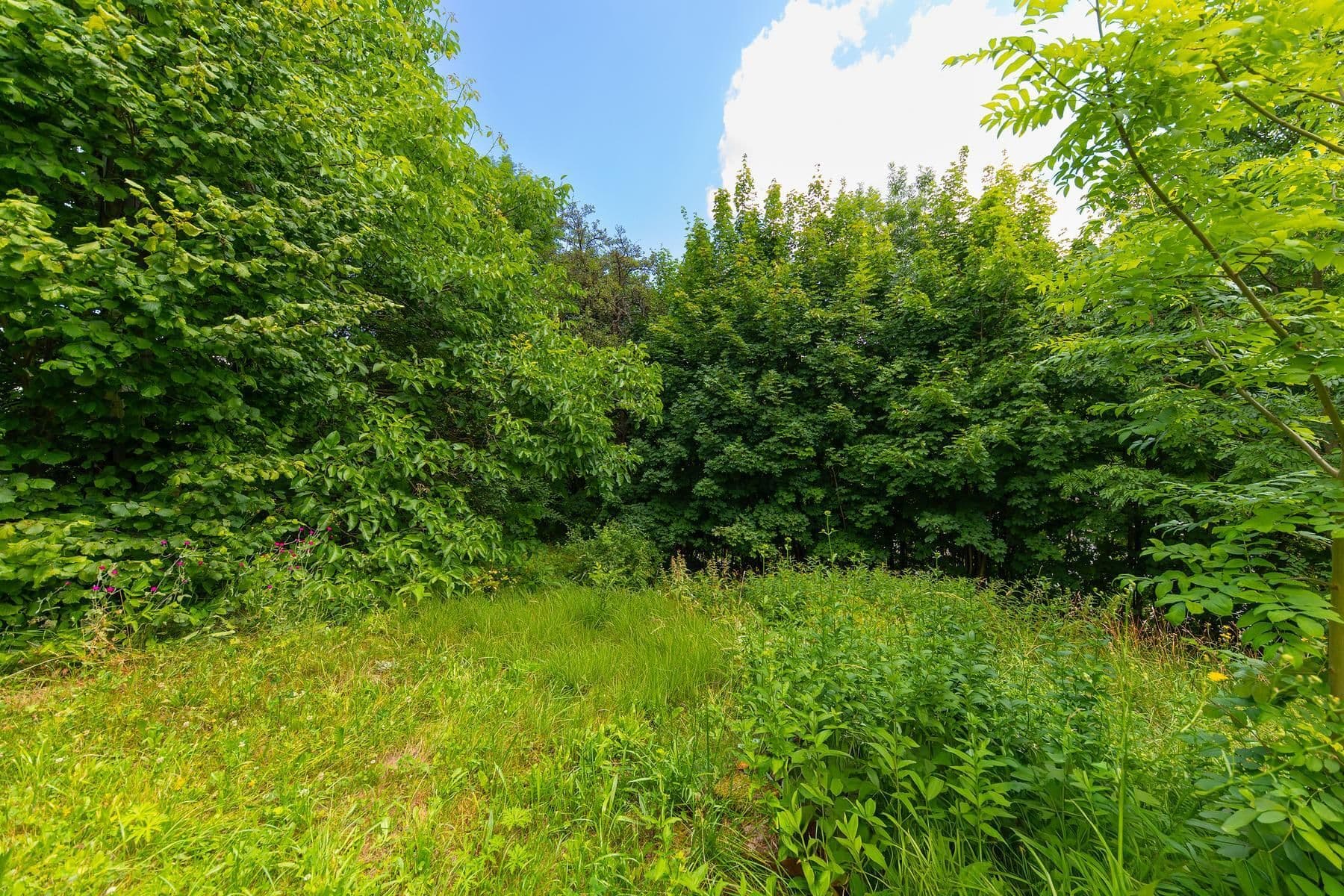 Predaj pozemku 743 m², Písařov, Olomoucký kraj Predaj pozemku 743 m², Písařov, Olomoucký kraj