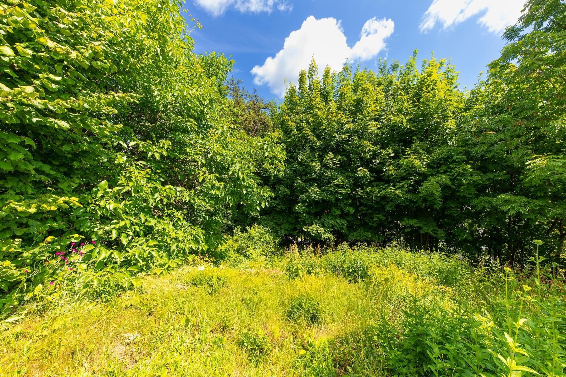 Predaj pozemku 743 m², Písařov, Olomoucký kraj Predaj pozemku 743 m², Písařov, Olomoucký kraj