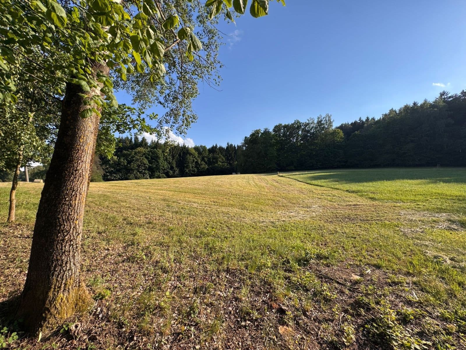 Predaj pozemku 7.125 m², Pec, Plzeňský kraj Predaj pozemku 7.125 m², Pec, Plzeňský kraj