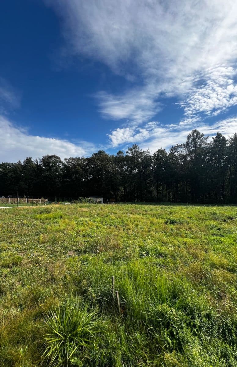 Predaj pozemku 1.181 m², Hradečno, Středočeský kraj Predaj pozemku 1.181 m², Hradečno, Středočeský kraj