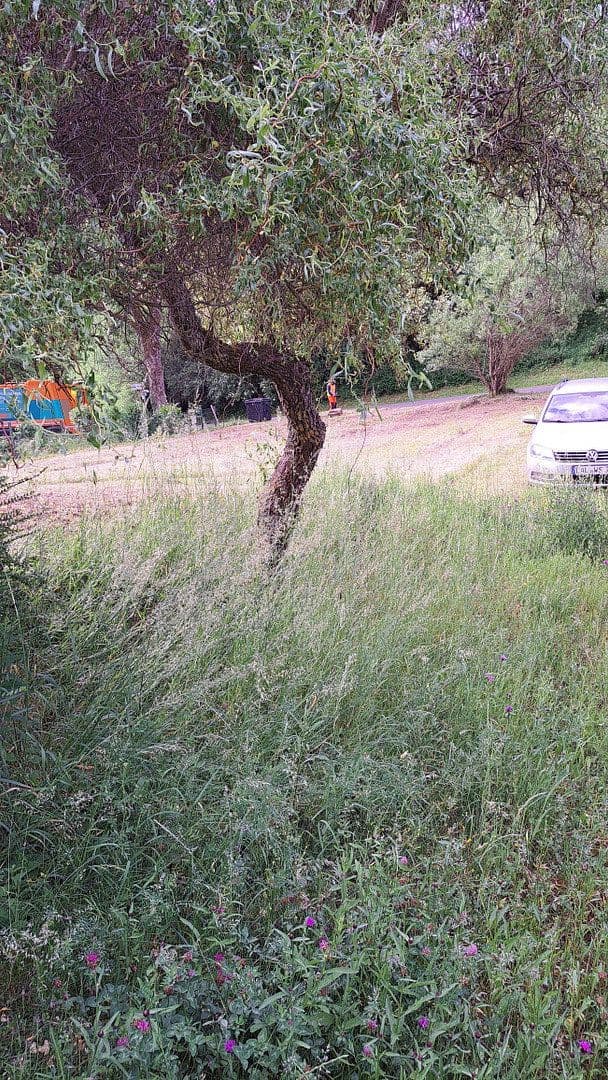 Predaj domu 120 m², pozemok 750 m², Siebenbachstrasse 19, Strotzbüsch, Porýnie-Falcko Predaj domu 120 m², pozemok 750 m², Siebenbachstrasse 19, Strotzbüsch, Porýnie-Falcko