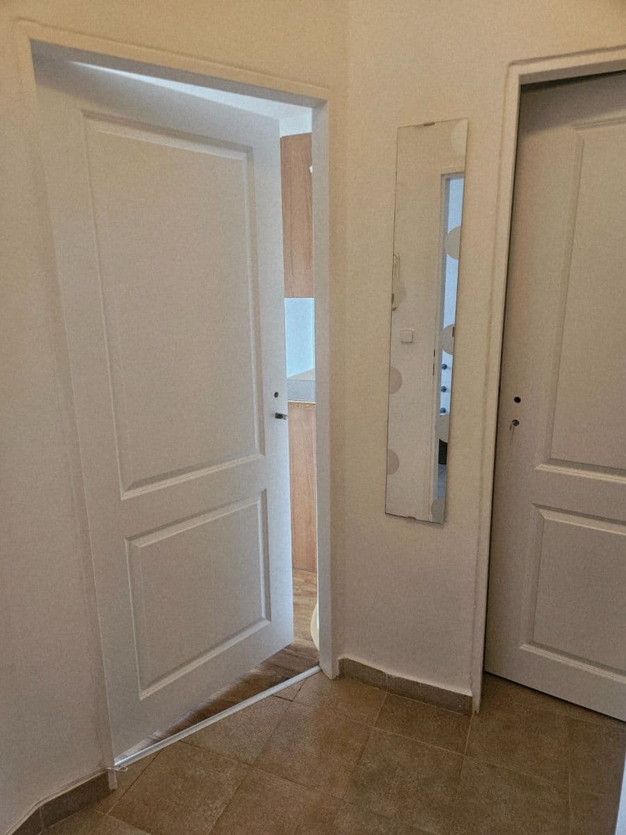 Prenájom bytu 1-izbový 27 m², V Olšinách, Praha, Praha Prenájom bytu 1-izbový 27 m², V Olšinách, Praha, Praha