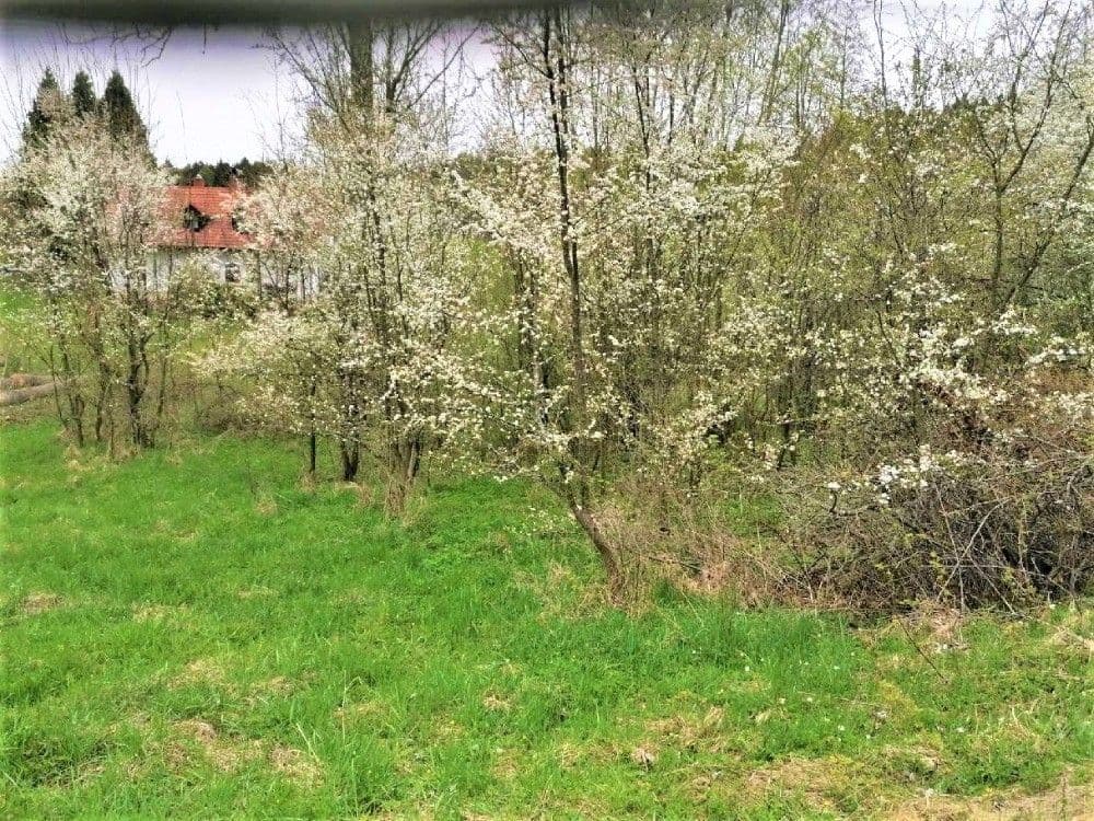 Predaj pozemku 340 m², Veselá, Liberecký kraj Predaj pozemku 340 m², Veselá, Liberecký kraj