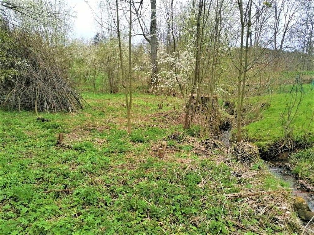 Predaj pozemku 340 m², Veselá, Liberecký kraj Predaj pozemku 340 m², Veselá, Liberecký kraj