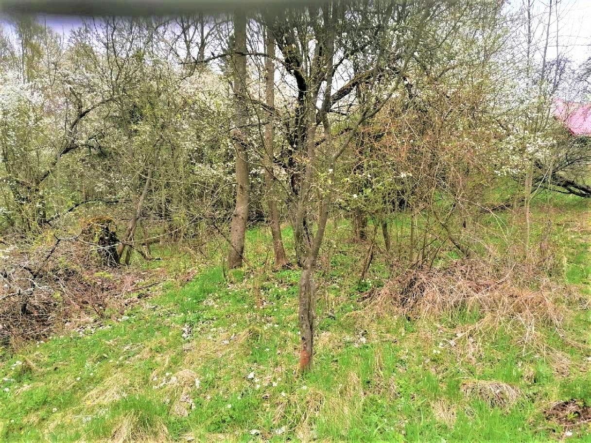 Predaj pozemku 340 m², Veselá, Liberecký kraj Predaj pozemku 340 m², Veselá, Liberecký kraj