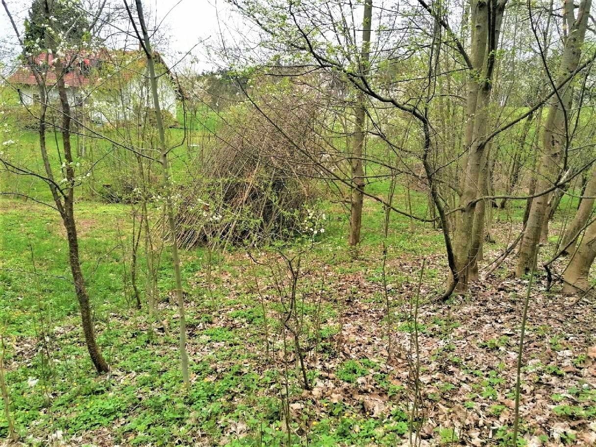 Predaj pozemku 340 m², Veselá, Liberecký kraj Predaj pozemku 340 m², Veselá, Liberecký kraj