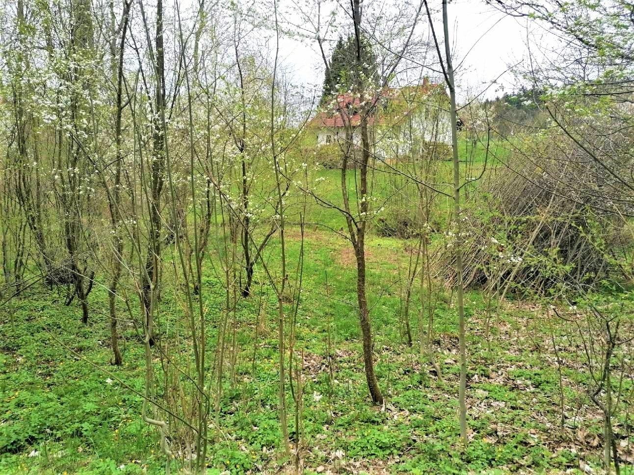 Predaj pozemku 340 m², Veselá, Liberecký kraj Predaj pozemku 340 m², Veselá, Liberecký kraj