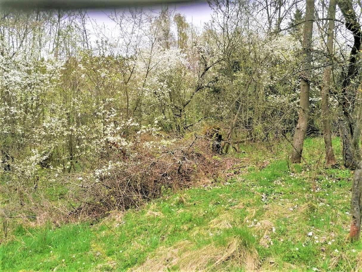 Predaj pozemku 340 m², Veselá, Liberecký kraj Predaj pozemku 340 m², Veselá, Liberecký kraj