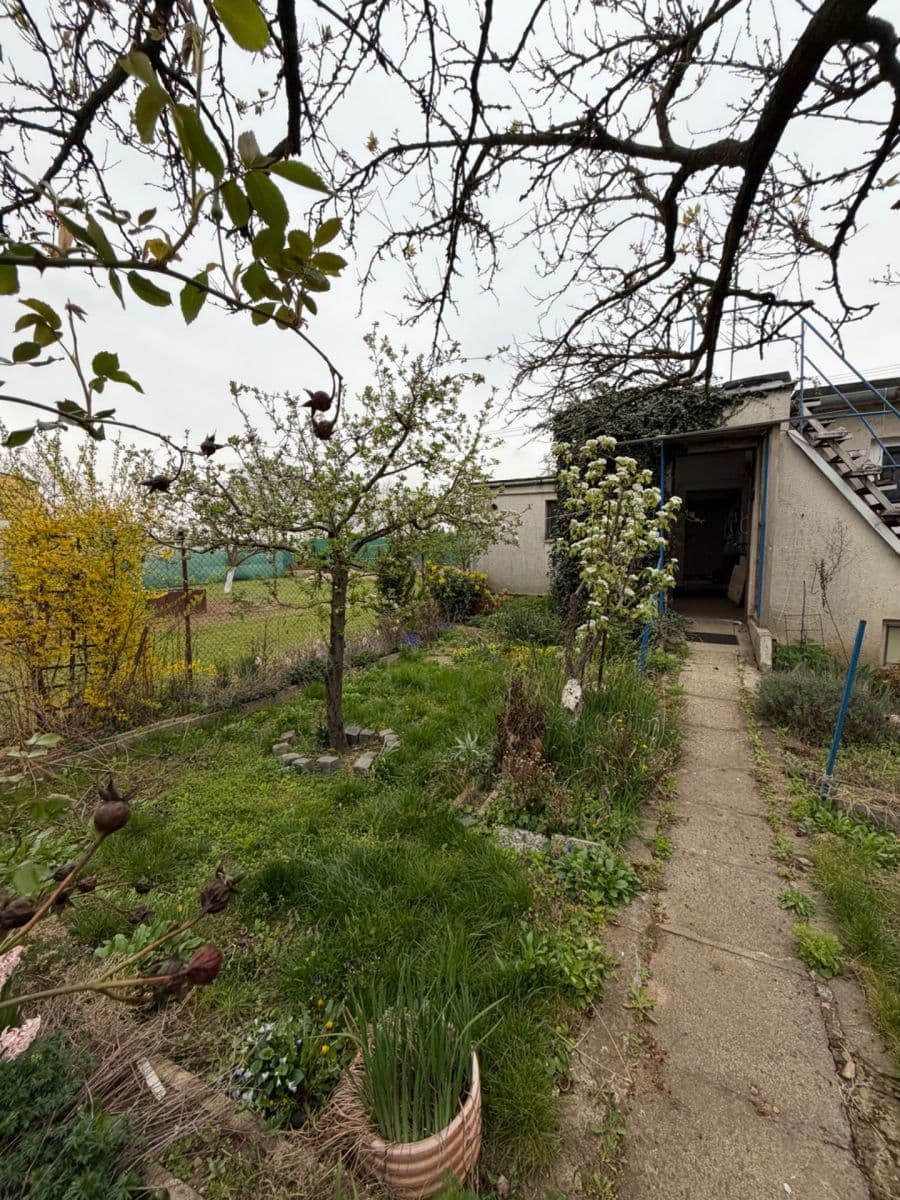 Prenájom domu 78 m², pozemok 450 m², U Hřiště, Žabčice, Jihomoravský kraj Prenájom domu 78 m², pozemok 450 m², U Hřiště, Žabčice, Jihomoravský kraj
