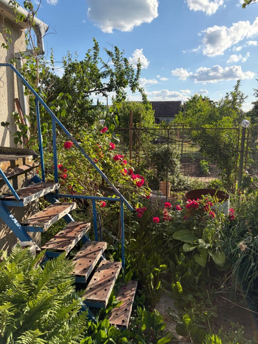 Prenájom domu 78 m², pozemok 450 m², U Hřiště, Žabčice, Jihomoravský kraj Prenájom domu 78 m², pozemok 450 m², U Hřiště, Žabčice, Jihomoravský kraj