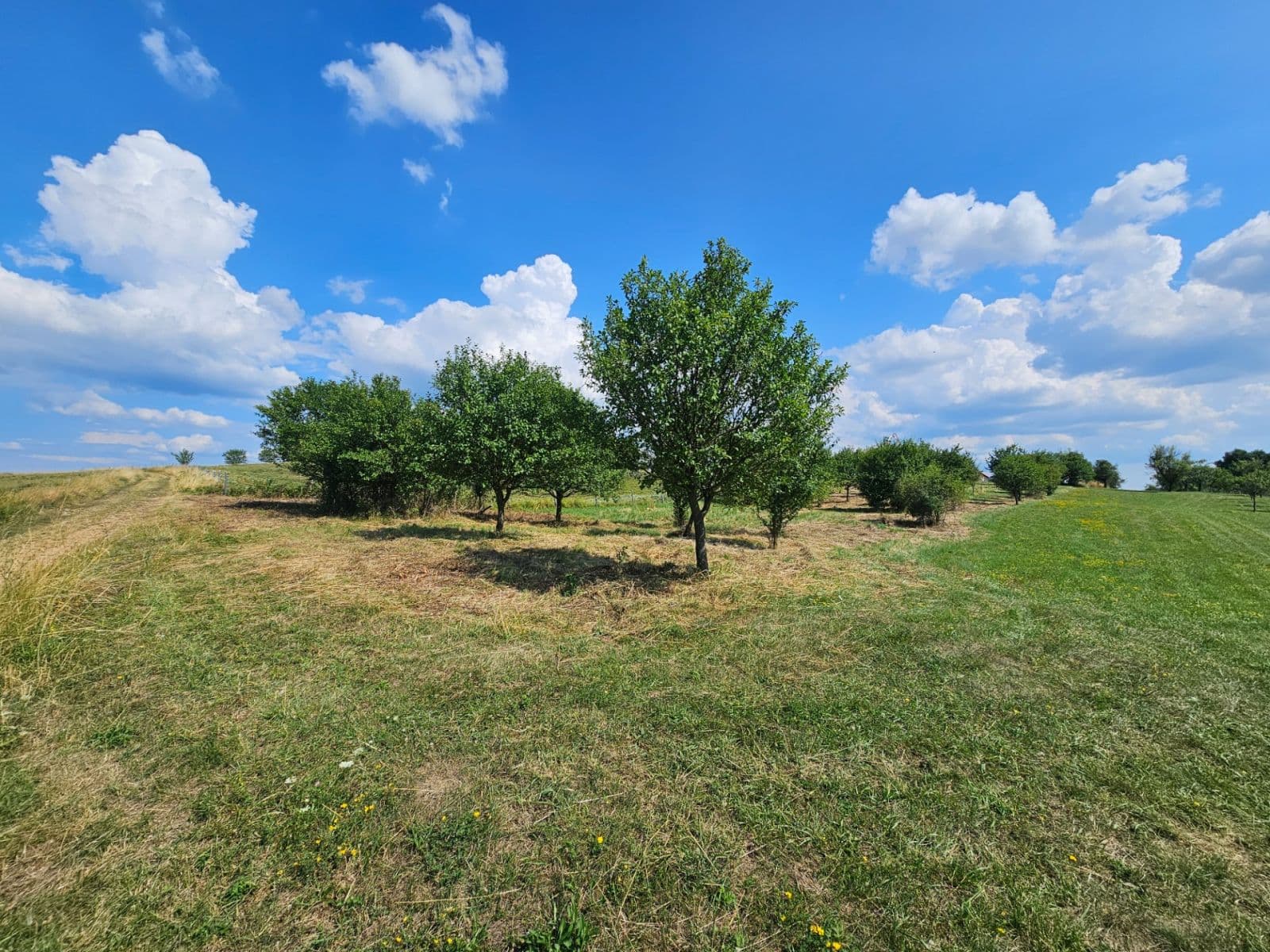 Predaj pozemku 2.492 m², Doubravy, Zlínský kraj Predaj pozemku 2.492 m², Doubravy, Zlínský kraj