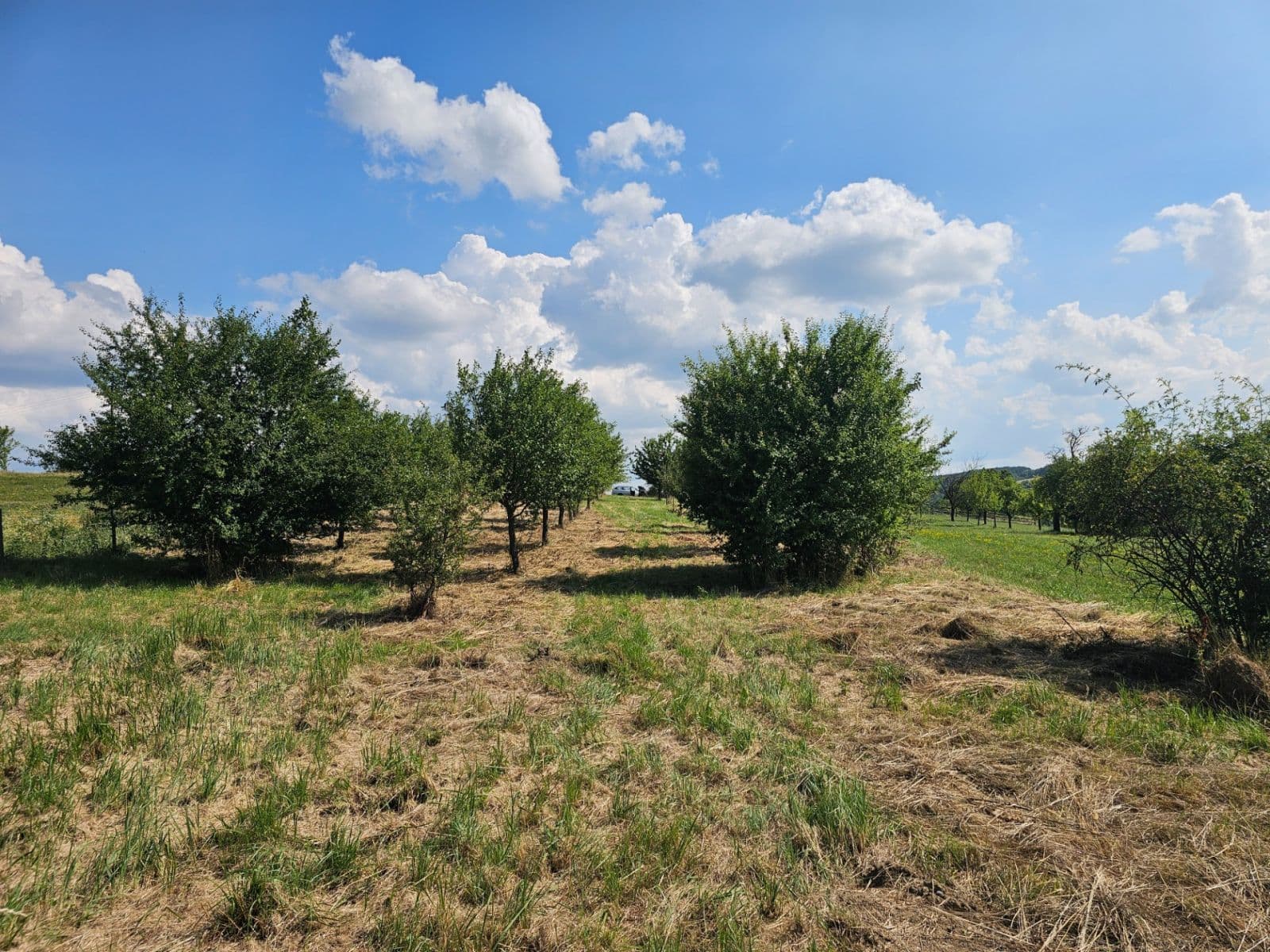 Predaj pozemku 2.492 m², Doubravy, Zlínský kraj Predaj pozemku 2.492 m², Doubravy, Zlínský kraj