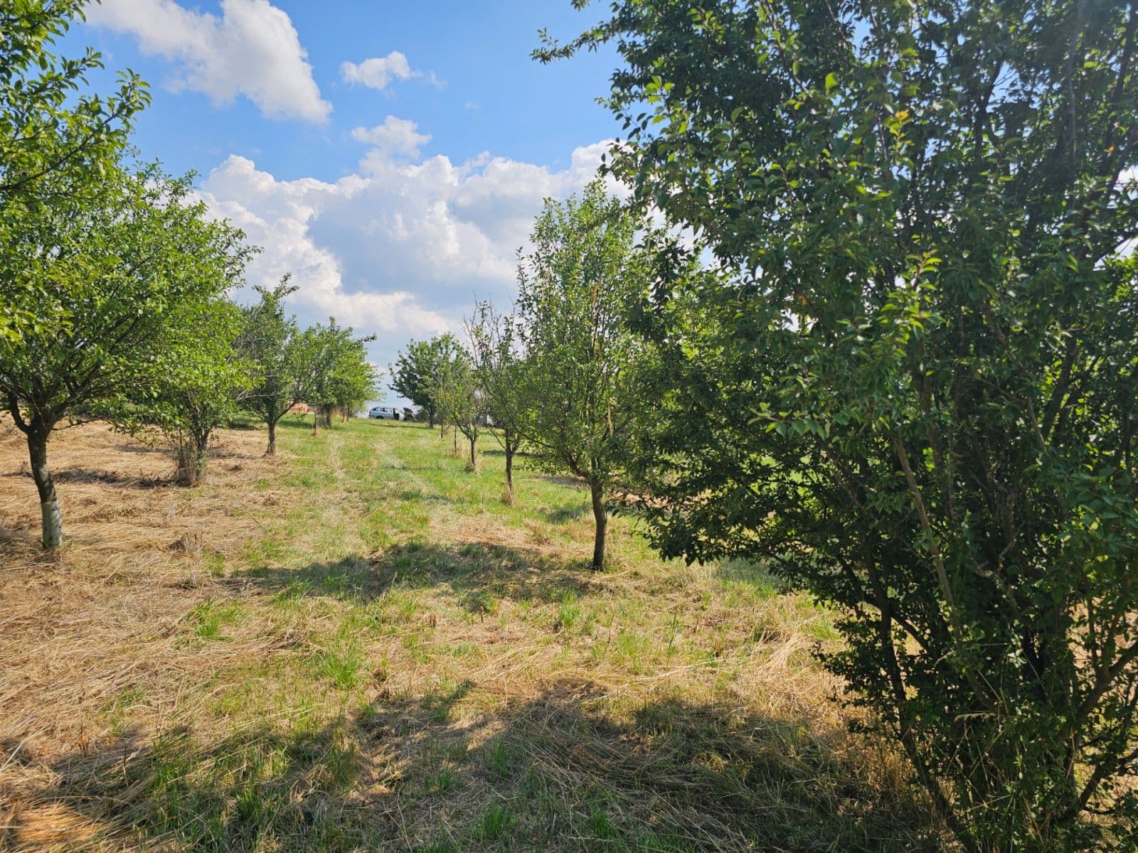 Predaj pozemku 2.492 m², Doubravy, Zlínský kraj Predaj pozemku 2.492 m², Doubravy, Zlínský kraj