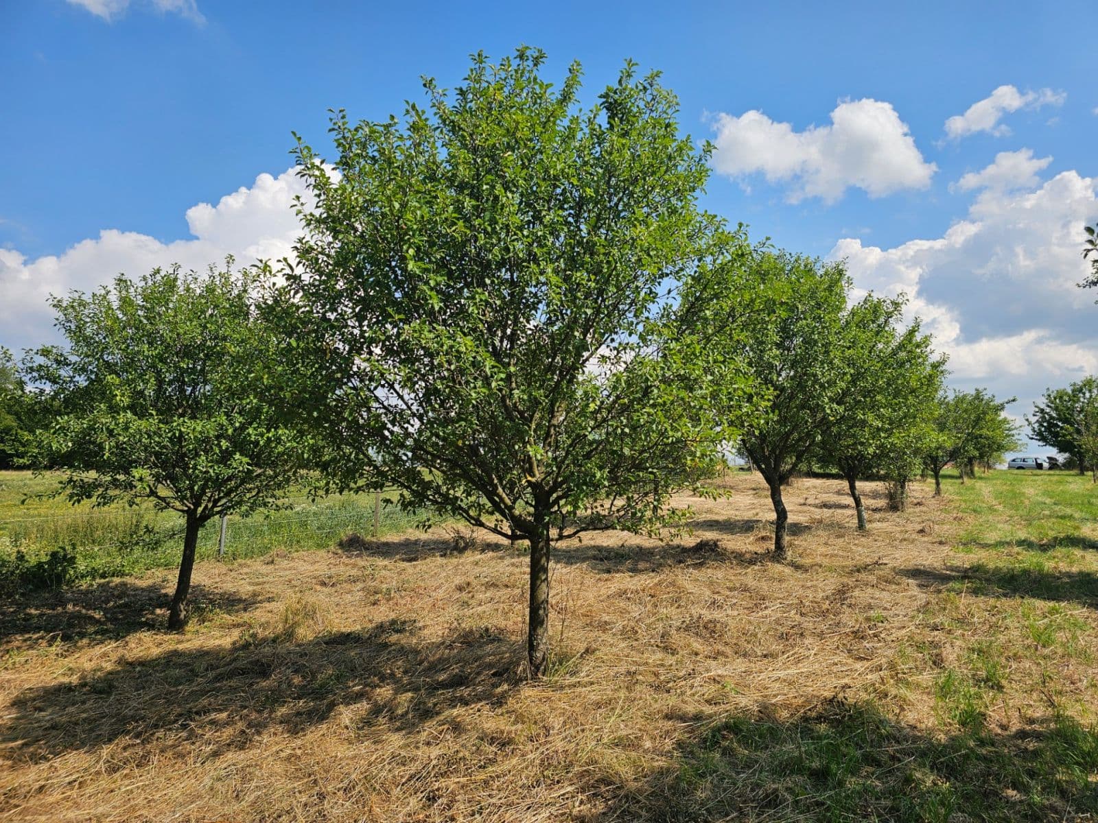 Predaj pozemku 2.492 m², Doubravy, Zlínský kraj Predaj pozemku 2.492 m², Doubravy, Zlínský kraj
