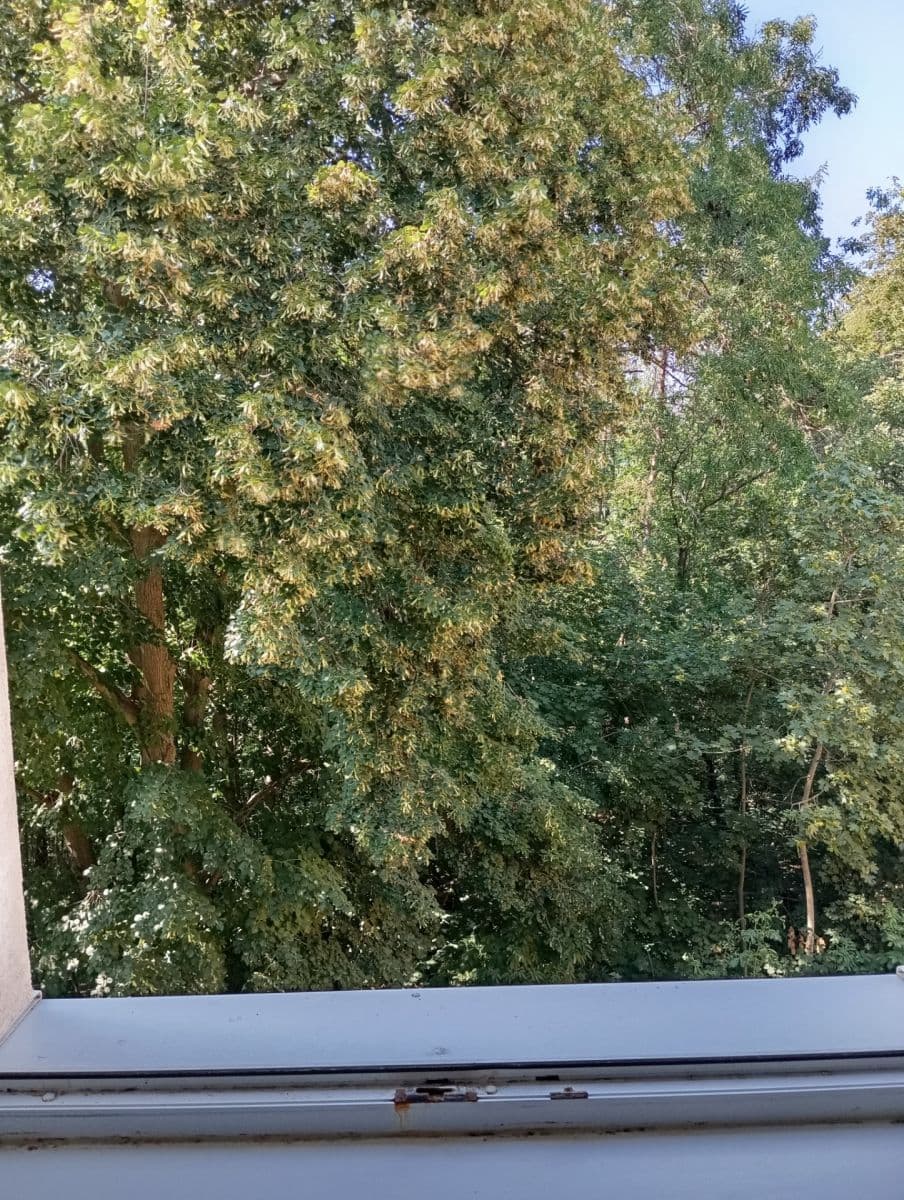 Prenájom bytu 2-izbový 53 m², Na Okraji, Praha, Praha Prenájom bytu 2-izbový 53 m², Na Okraji, Praha, Praha
