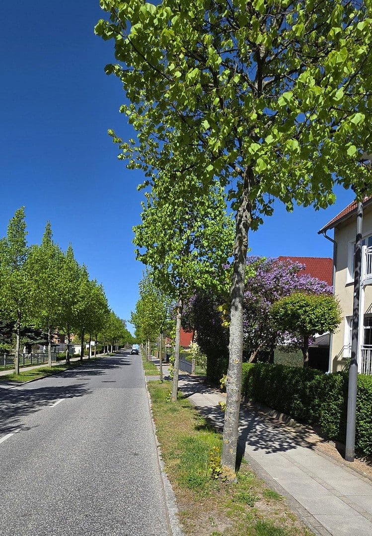 Predaj bytu 2-izbový 54 m², Neue Reihe 39, Kühlungsborn, Meklenbursko-Predpomoransko Predaj bytu 2-izbový 54 m², Neue Reihe 39, Kühlungsborn, Meklenbursko-Predpomoransko