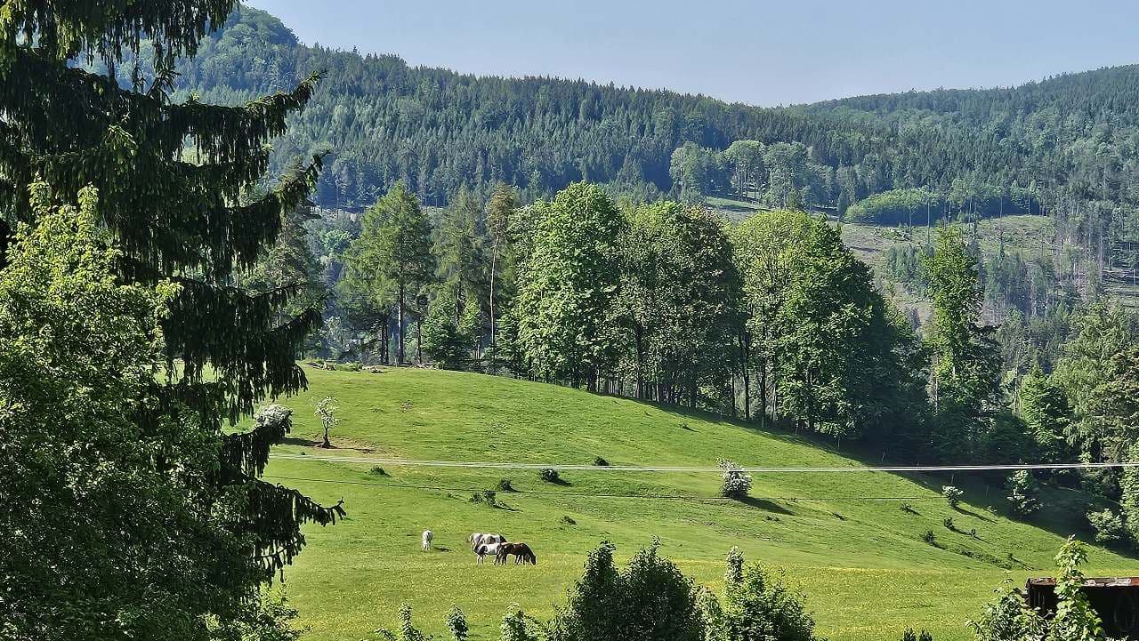 Prenájom rekreačného objektu, Kytlice, Ústecký kraj Prenájom rekreačného objektu, Kytlice, Ústecký kraj